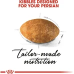 Royal Canin Persian Cat - Croquettes complètes pour chats persans, 10 kg