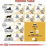 Royal Canin Persian Cat - Croquettes complètes pour chats persans, 10 kg