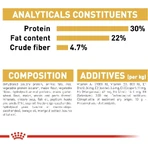 Royal Canin Persian Cat - Croquettes complètes pour chats persans, 10 kg