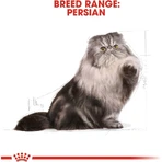Royal Canin Persian Cat - Croquettes complètes pour chats persans, 10 kg