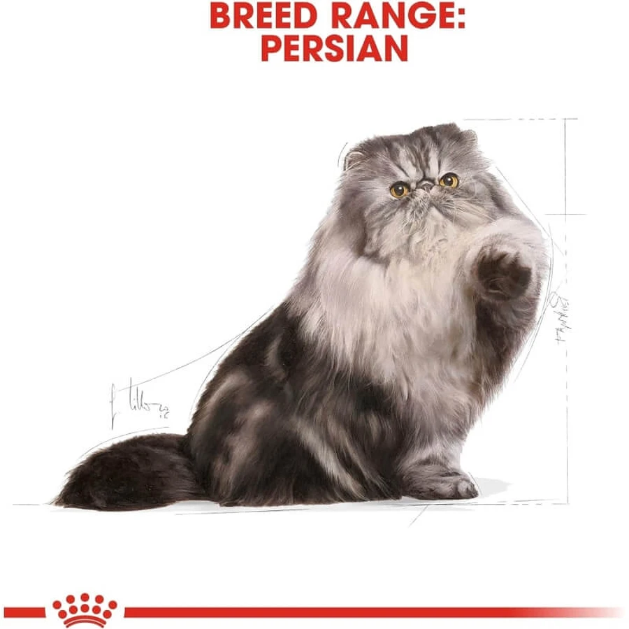 Royal Canin Persian Cat - Croquettes complètes pour chats persans, 10 kg