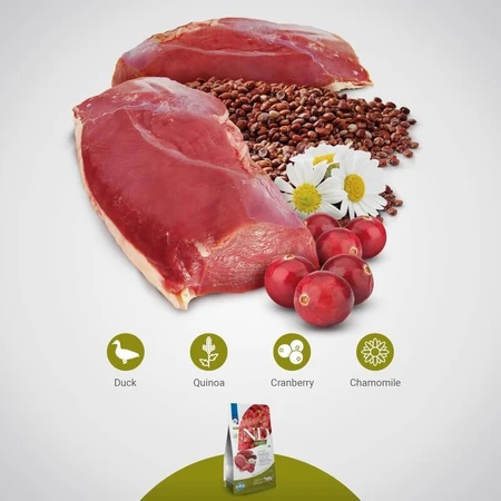 Farmina N&amp;d Quinoa Urinary Pato, quinoa, arándano rojo y manzanilla - Alimento completo para gatos adultos con problemas urinarios, 1,5 kg