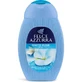 Blue Fern & White Moss - Shower Gel 250 ml