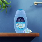 Helecho azul y musgo blanco - Gel de ducha 250 ml
