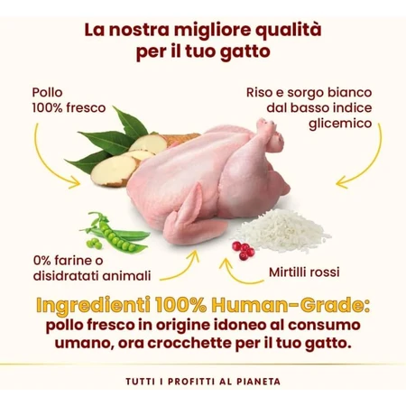 Almo Nature HFC Our Best Pollo esterilizado - Alimento completo para gatos adultos esterilizados, 1,2 kg