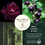 Woodwick Black Currant &amp; Rose – Duftkerze, mittelstark, 181 g