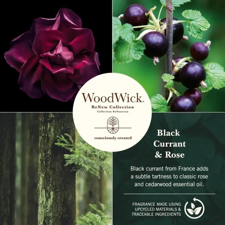 Woodwick Black Currant &amp; Rose – Duftkerze, mittelstark, 181 g