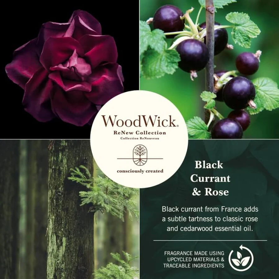 Woodwick Black Currant &amp; Rose – Duftkerze, mittelstark, 181 g