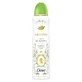 Where Bridgerton Love & Meadows – Antitranspirant-Deodorant mit Bergamotte und Wildblumen, 150 ml