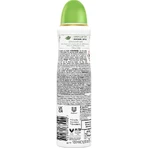 Where Bridgerton Love & Meadows - Bergamot and Wildflowers Antiperspirant Deodorant 150 ml