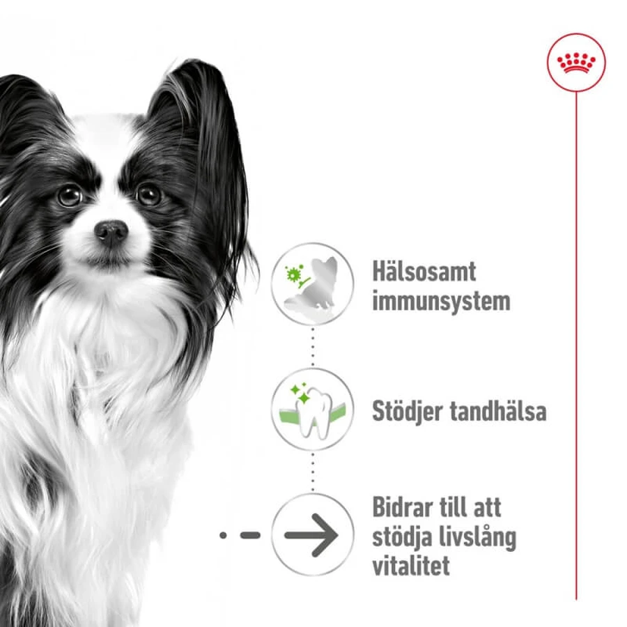 Royal Canin X-Small Aging 12+ - Compleet voer voor volwassen miniatuurhonden, 1,5 kg