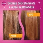 Sunsilk Bye Bye Frizz - Acondicionador para cabello encrespado y dañado, 200 ml