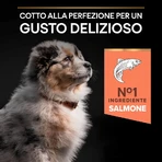 Purina Pro Plan Medium Puppy Sensitive Skin met zalm - Compleet hondenvoer, 3 kg