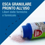 Sbm Life Science Forminix Powder - Mierenaas in korrelvorm voor gebruik buitenshuis, 200 g