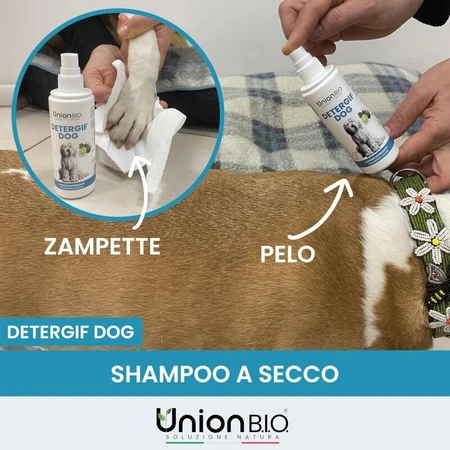 Union Bio Detergif Dog - Droogshampoo voor honden die niet hoeft te worden uitgespoeld, 500 ml