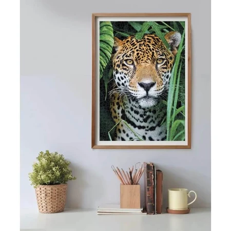 Clementoni HQC « Jaguar dans la jungle » - Puzzle de 500 pièces