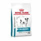 Royal Canin Anallergenic Small Dog - Alimento completo para perros pequeños con intolerancias alimentarias, 3 kg