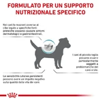 Royal Canin Anallergenic Small Dog - Alimento completo para perros pequeños con intolerancias alimentarias, 3 kg