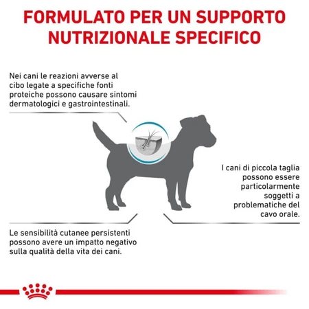 Royal Canin Anallergenic Small Dog - Alimento completo para perros pequeños con intolerancias alimentarias, 3 kg