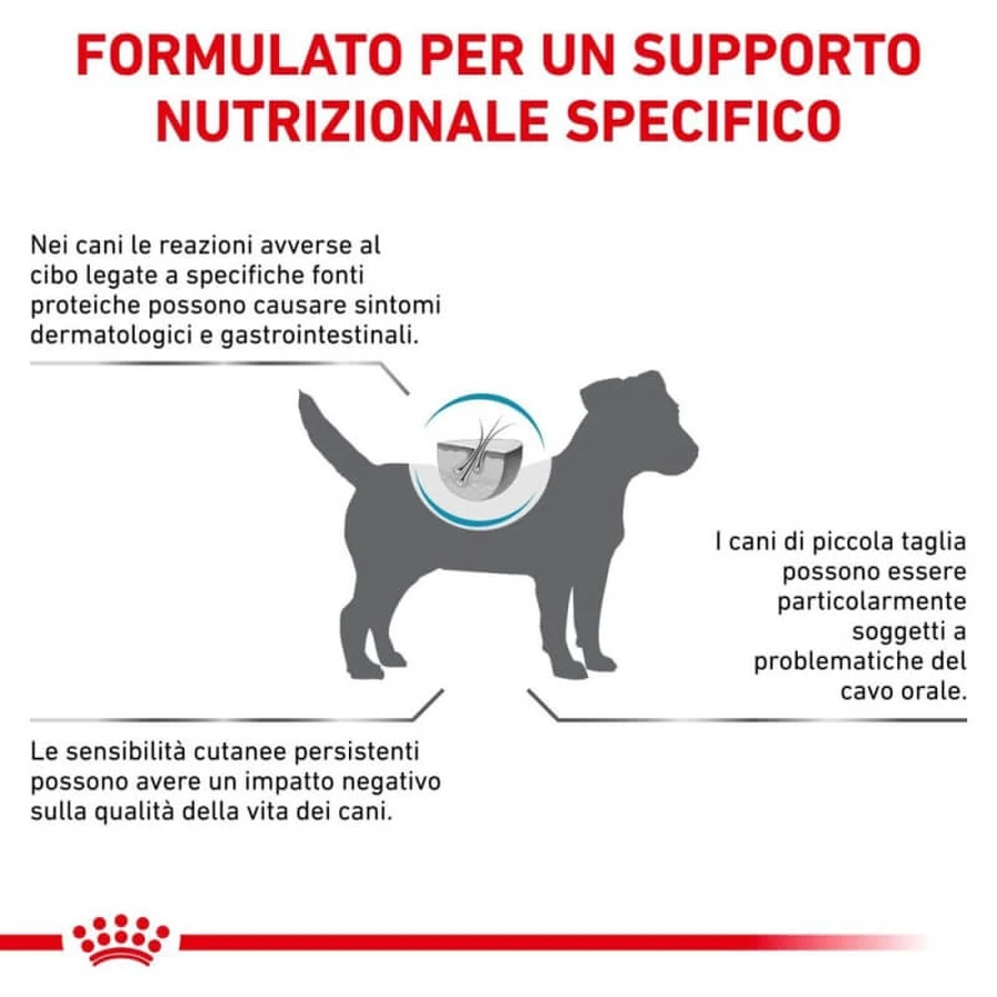 Royal Canin Anallergenic Small Dog - Alimento completo para perros pequeños con intolerancias alimentarias, 3 kg