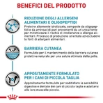 Royal Canin Anallergenic Small Dog - Alimento completo para perros pequeños con intolerancias alimentarias, 3 kg