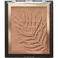 Wet n Wild Color Icon Bronzer - Bronzingpoeder nr. E740A Ticket to Brazil