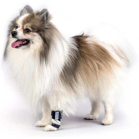 Balto Splint – Starre orthopädische Schiene für die Hand- und Fußwurzelgelenke von Hunden, Größe M