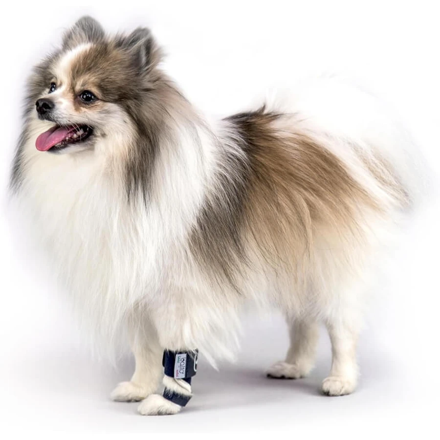 Balto Splint – Starre orthopädische Schiene für die Hand- und Fußwurzelgelenke von Hunden, Größe M