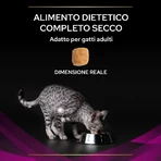 Purina Veterinary Diets Chicken - Complete Food for Cats with Urinary Conditions, 1.5 kg