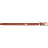 Camon Flat Collar – Gepolstertes Kalbsleder mit goldfarbenen Metallbeschlägen, 1,5 × 33 cm