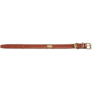 Collar plano Camon: piel de becerro acolchada con herrajes dorados, 1,5 x 33 cm