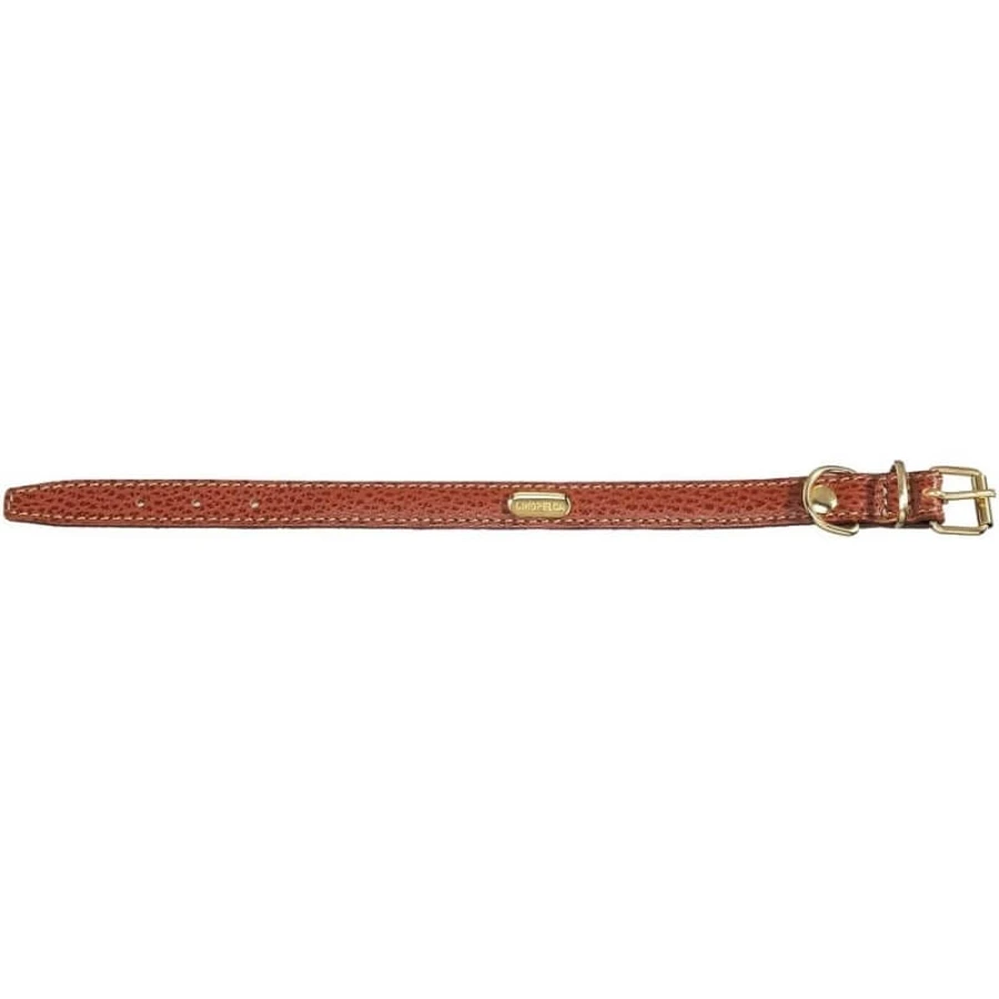 Collar plano Camon: piel de becerro acolchada con herrajes dorados, 1,5 x 33 cm