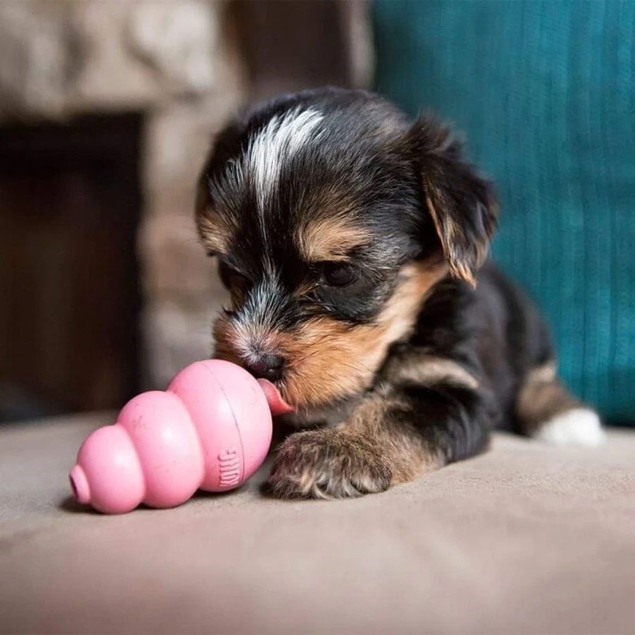 Kong Puppy - gioco in gomma morbida per cuccioli x-small