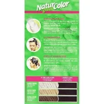 Renee Blanche Natur Green Color – vopsea de păr de culoare mahon deschis
