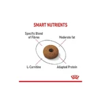 Royal Canin Appetite Control Care – Alleinfuttermittel für ausgewachsene Katzen zur Förderung des Sättigungsgefühls, 400 g