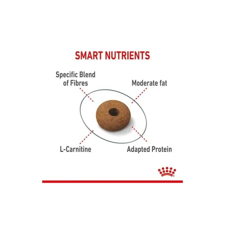 Royal Canin Appetite Control Care – Alleinfuttermittel für ausgewachsene Katzen zur Förderung des Sättigungsgefühls, 400 g