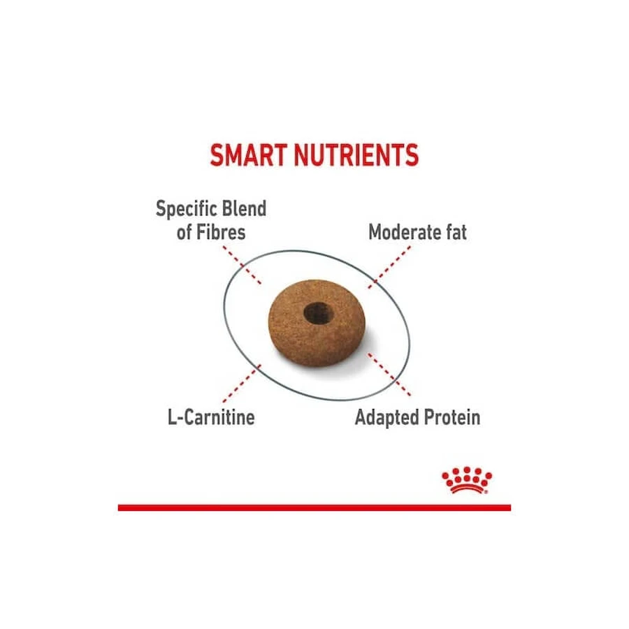 Royal Canin Appetite Control Care – Alleinfuttermittel für ausgewachsene Katzen zur Förderung des Sättigungsgefühls, 400 g