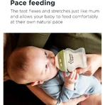 Tommee Tippee Closer to Nature - Fles van polypropyleen met langzame doorstroming, vanaf 0 maanden, 250 ml