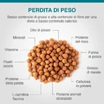 Dechra Specific Weight Reduction – Alleinfuttermittel für übergewichtige oder an Diabetes erkrankte erwachsene Katzen, 400 g