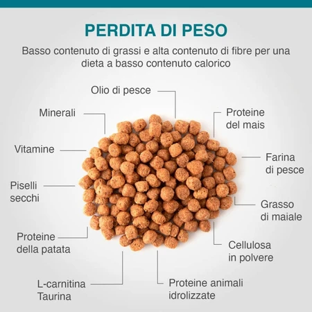 Dechra Specific Weight Reduction – Alleinfuttermittel für übergewichtige oder an Diabetes erkrankte erwachsene Katzen, 400 g