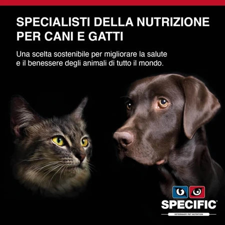 Dechra Specific Weight Reduction – Alleinfuttermittel für übergewichtige oder an Diabetes erkrankte erwachsene Katzen, 400 g