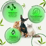 Camon Canahelp Paste - a dietary supplement for dogs and cats, malt paste with hemp, 100 g