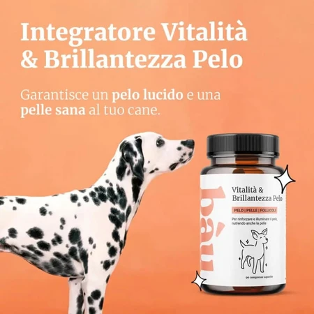 Bau Cosmetics: Vitaliteit &amp; Glans voor de vacht, 90 tabletten – een voedingssupplement voor de vacht van honden