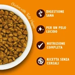 Lily's Kitchen Kip & Groenten - Compleet droogvoer voor volwassen katten, 2 kg