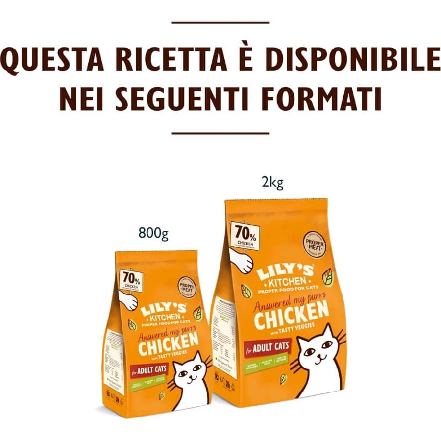 Lily's Kitchen Kip & Groenten - Compleet droogvoer voor volwassen katten, 2 kg