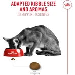 Royal Canin Fussy Exigent - Aliment complet pour chats adultes à l'appétit très sélectif, 2 kg