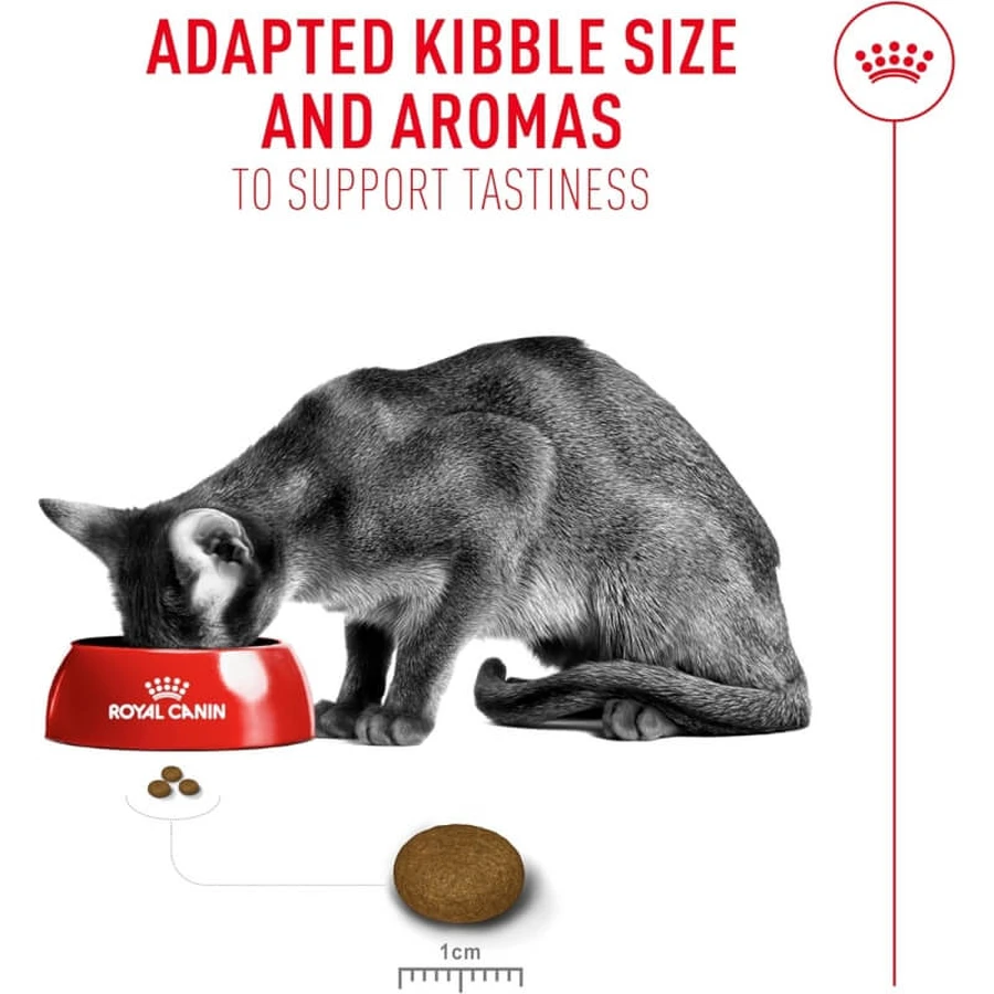 Royal Canin Fussy Exigent - Aliment complet pour chats adultes à l'appétit très sélectif, 2 kg