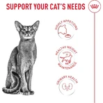 Royal Canin Fussy Exigent - Aliment complet pour chats adultes à l'appétit très sélectif, 2 kg