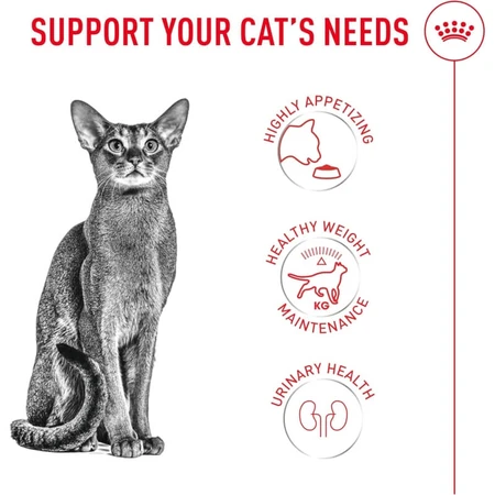 Royal Canin Fussy Exigent - Aliment complet pour chats adultes à l'appétit très sélectif, 2 kg