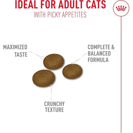 Royal Canin Fussy Exigent - Aliment complet pour chats adultes à l'appétit très sélectif, 2 kg